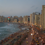 alex_01.jpg